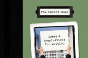 the pocket muse